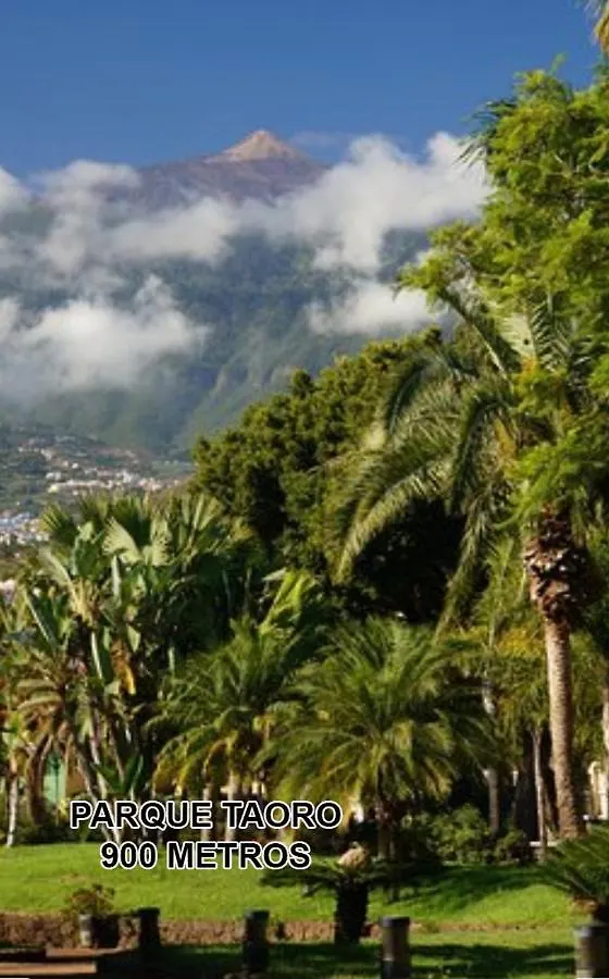 Toplage. Blick. Sauber. Guenstig. Pool. Gepflegt Puerto de la Cruz  Espagne